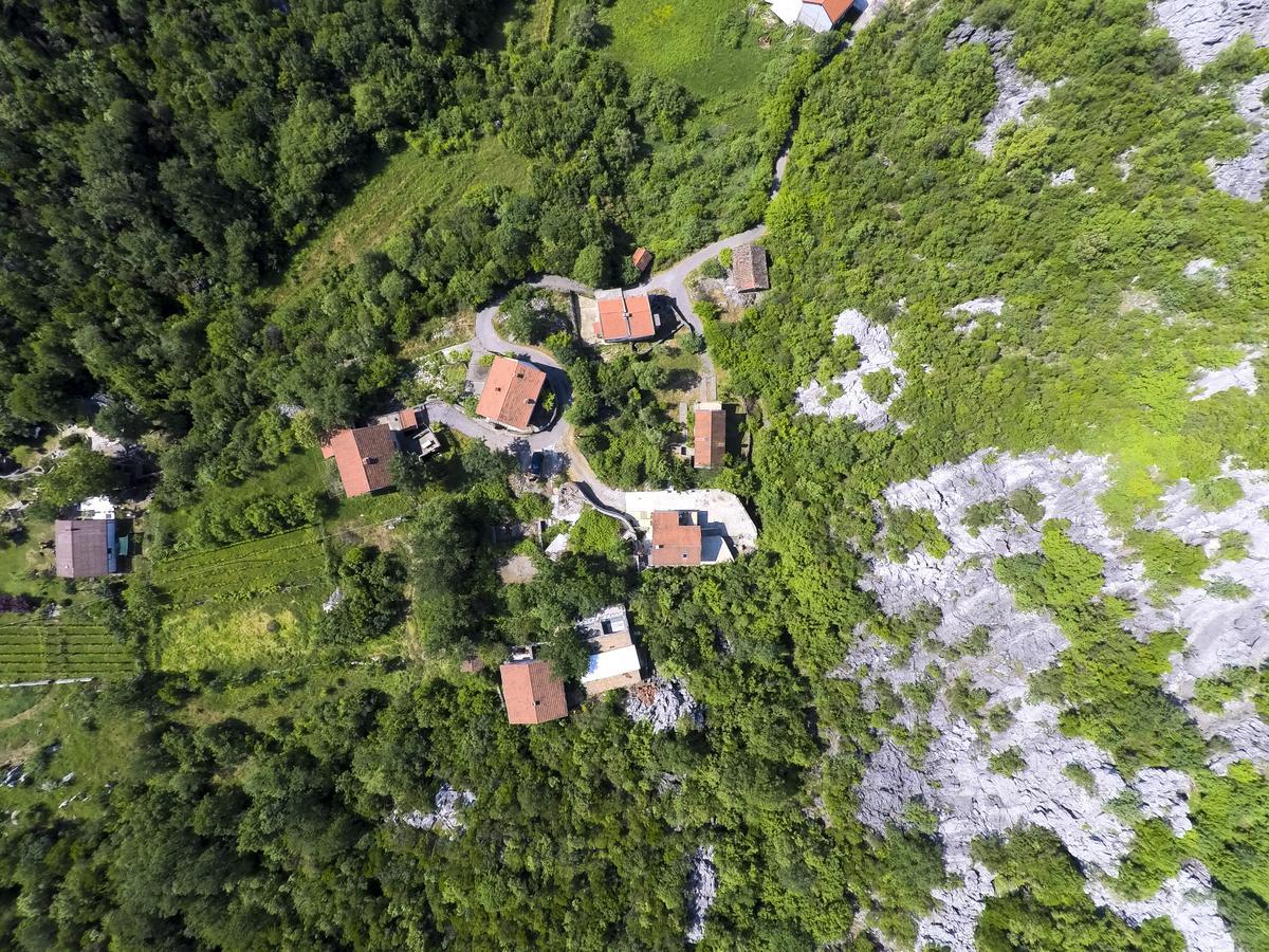 Villa Skadar Lake Karuc ภายนอก รูปภาพ