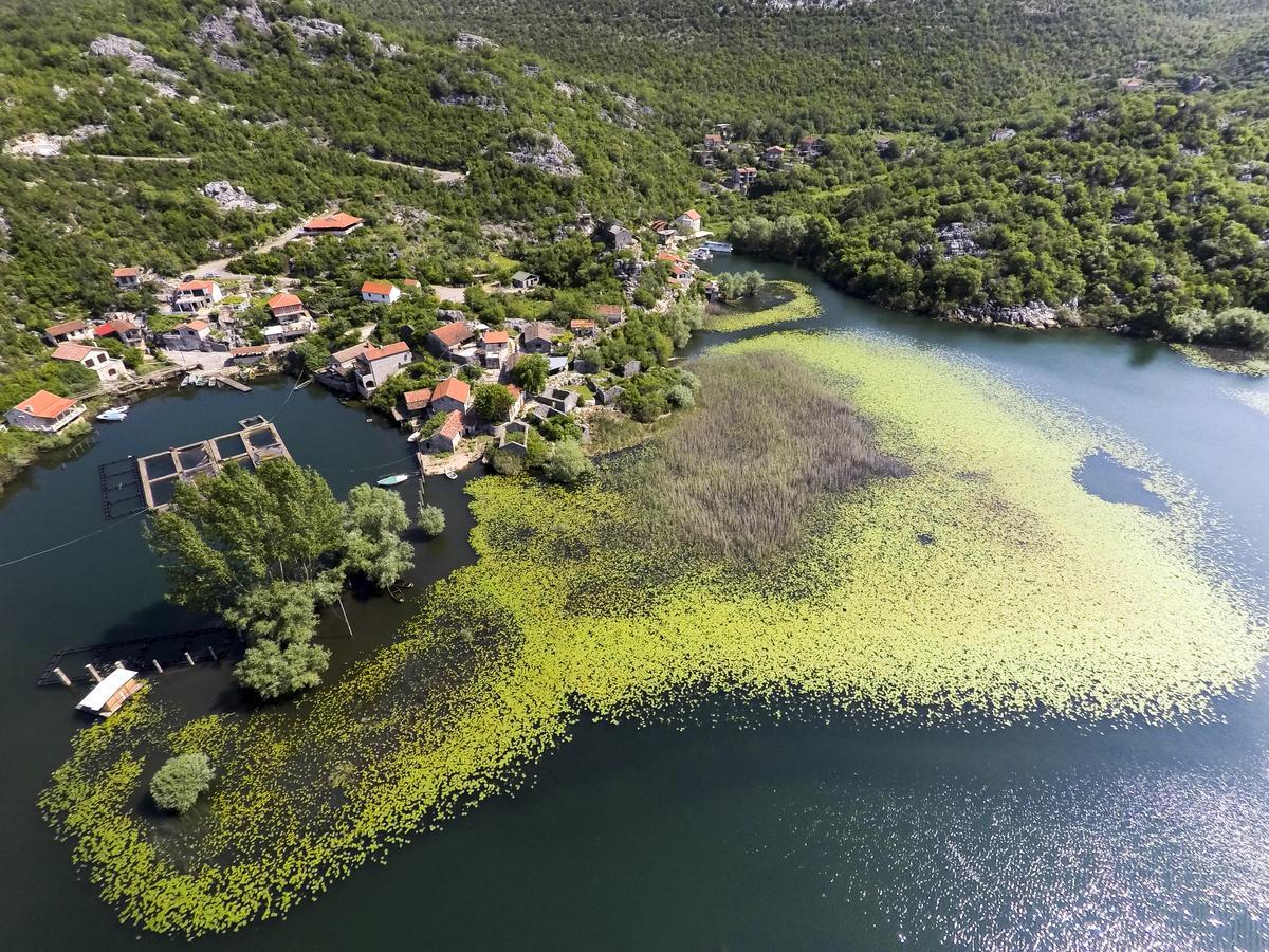 Villa Skadar Lake Karuc ภายนอก รูปภาพ
